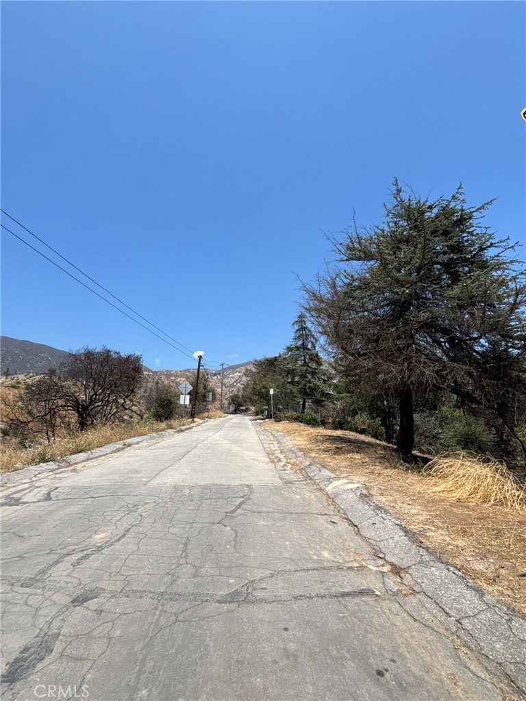 3696 Chaney Trail Altadena, CA 91001 - Photo 5 of 21 a view of a yard with a tree in the background