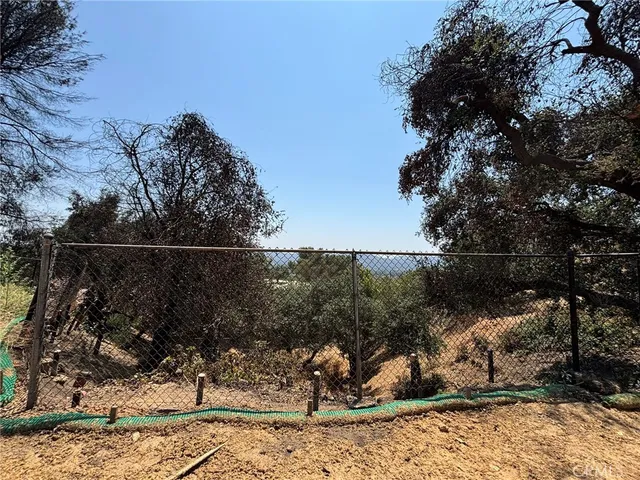 a view of a tree in a yard