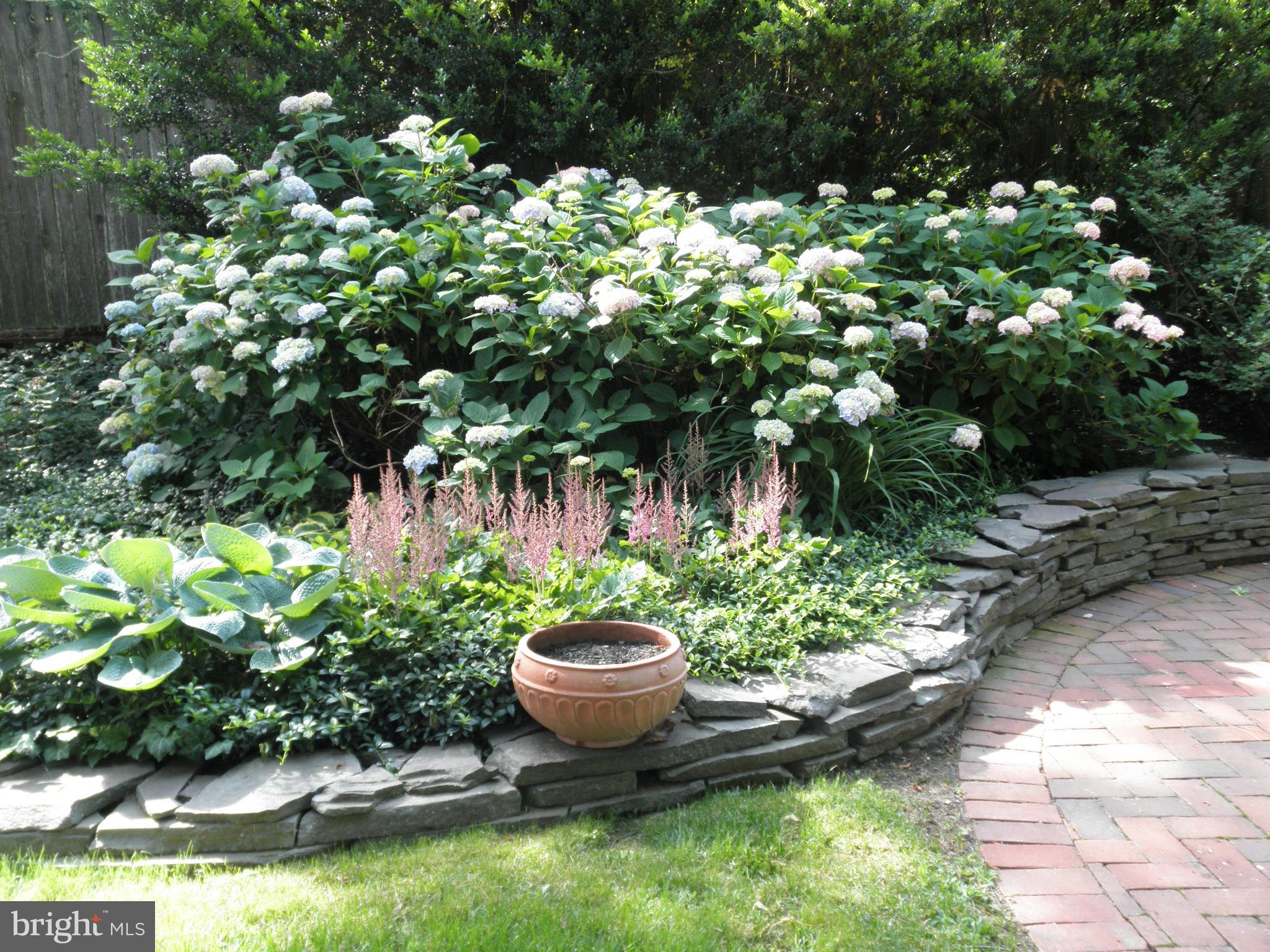 1514 Spring Avenue Jenkintown, PA 19046 - Photo 39 of 49 Garden