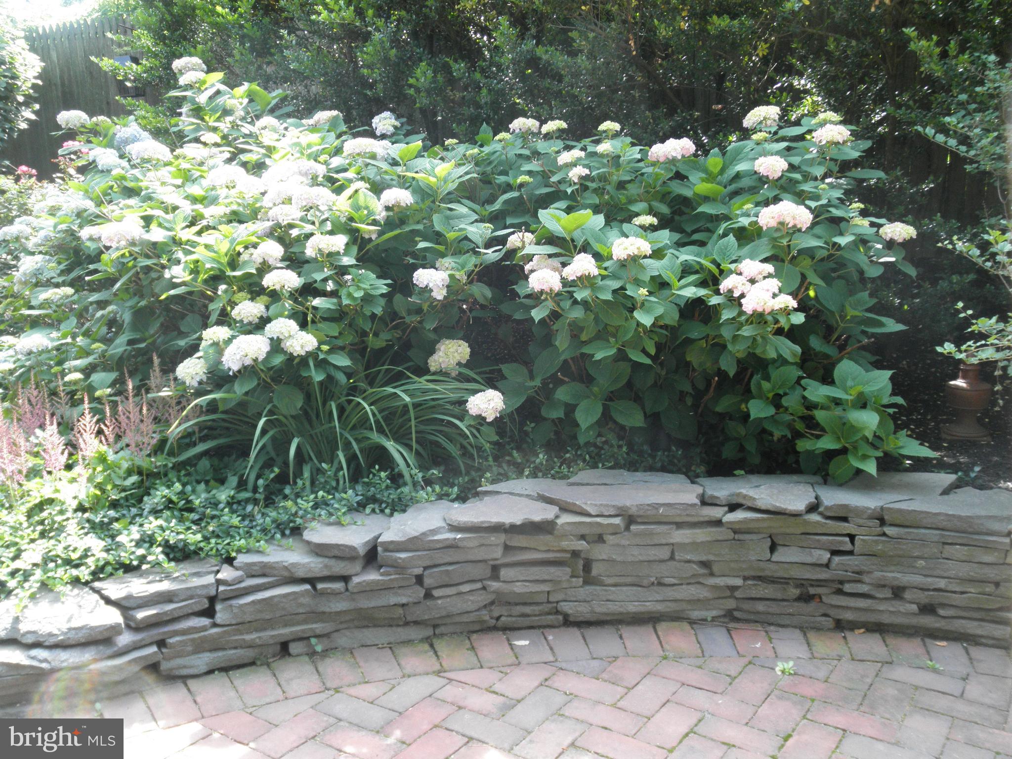 1514 Spring Avenue Jenkintown, PA 19046 - Photo 41 of 49 Brick Patio Garden