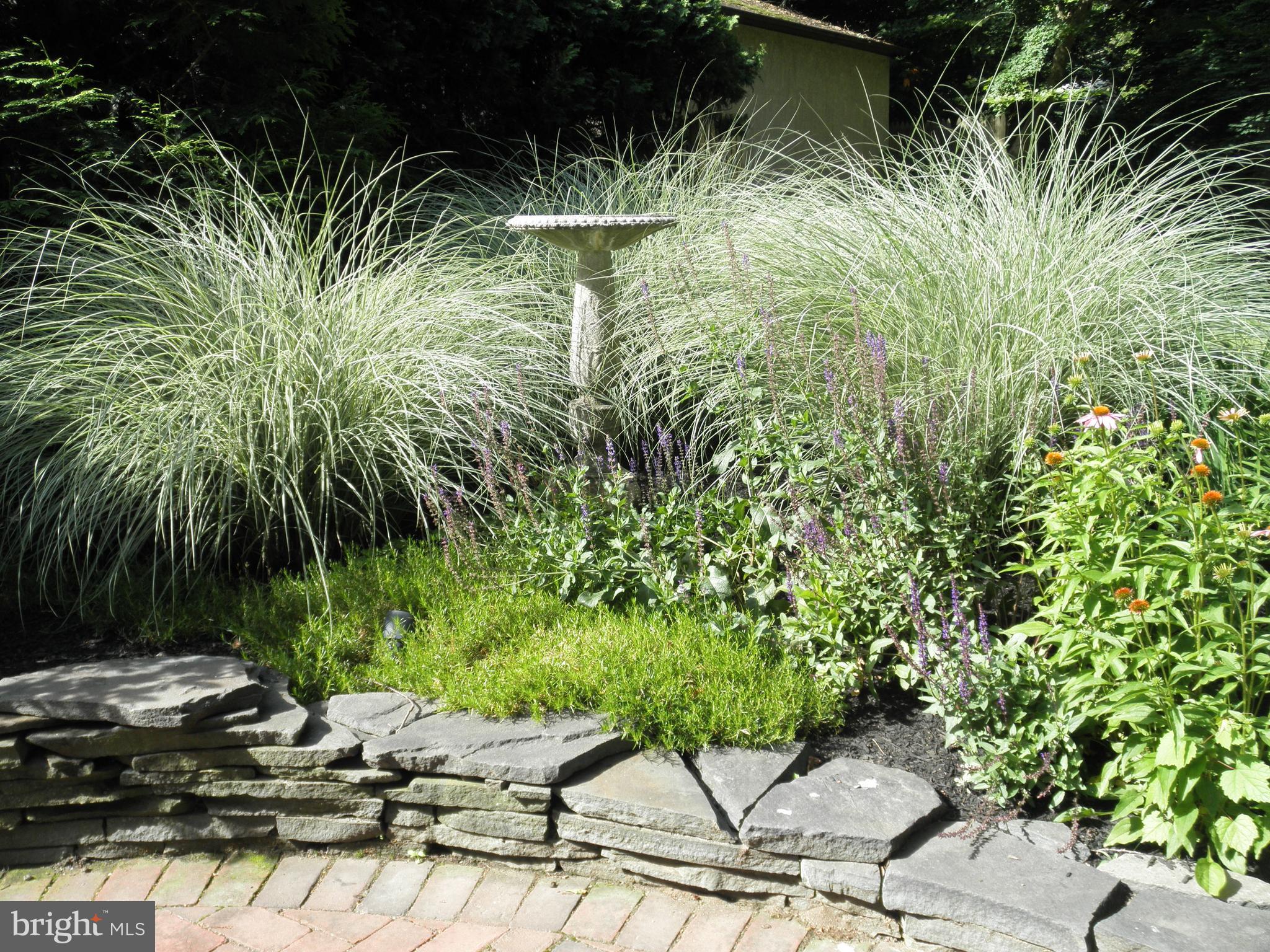1514 Spring Avenue Jenkintown, PA 19046 - Photo 43 of 49 Garden
