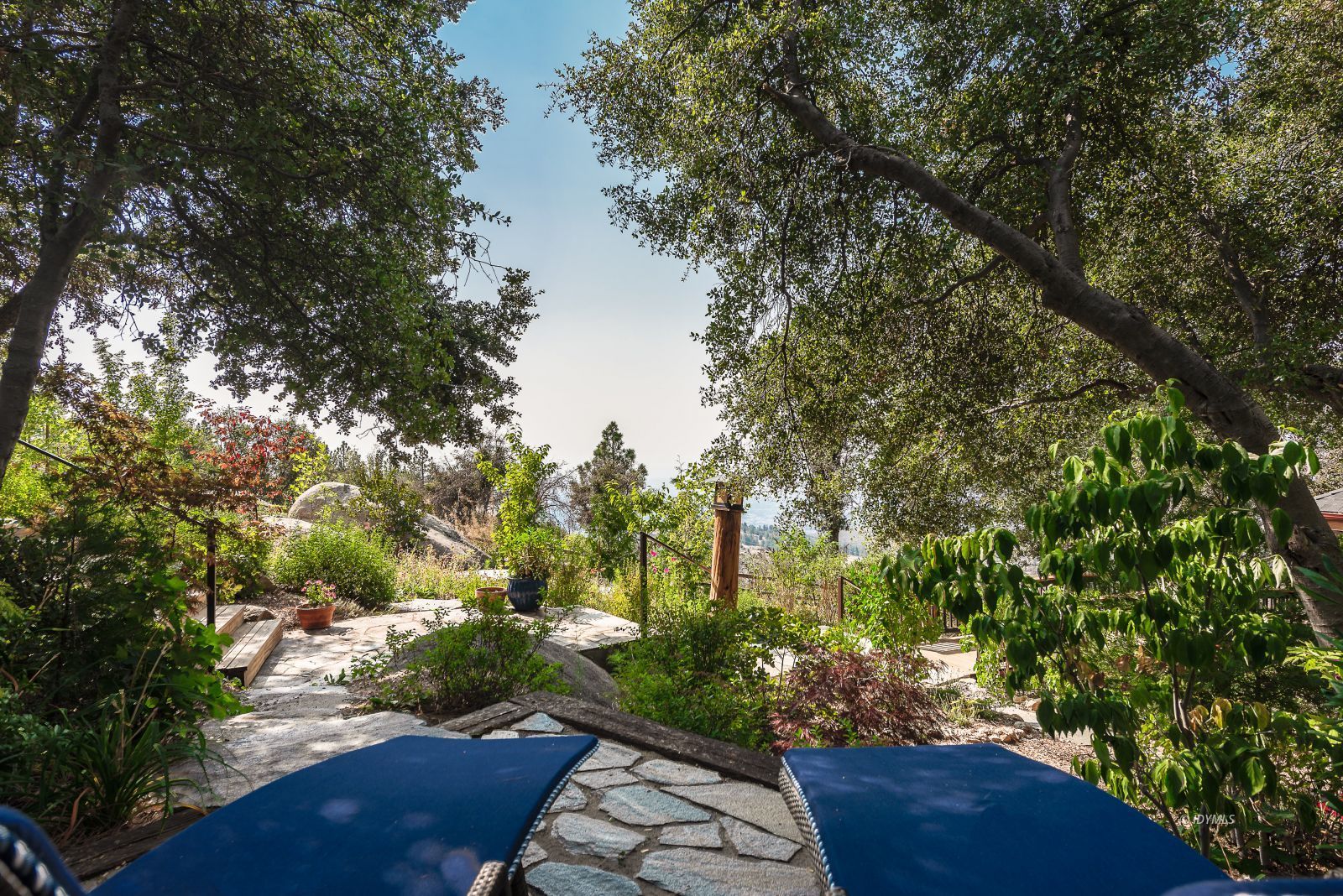 52430 Double View Drive Idyllwild, CA 92549 - Photo 23 of 75 a view of a yard of the house along with trees