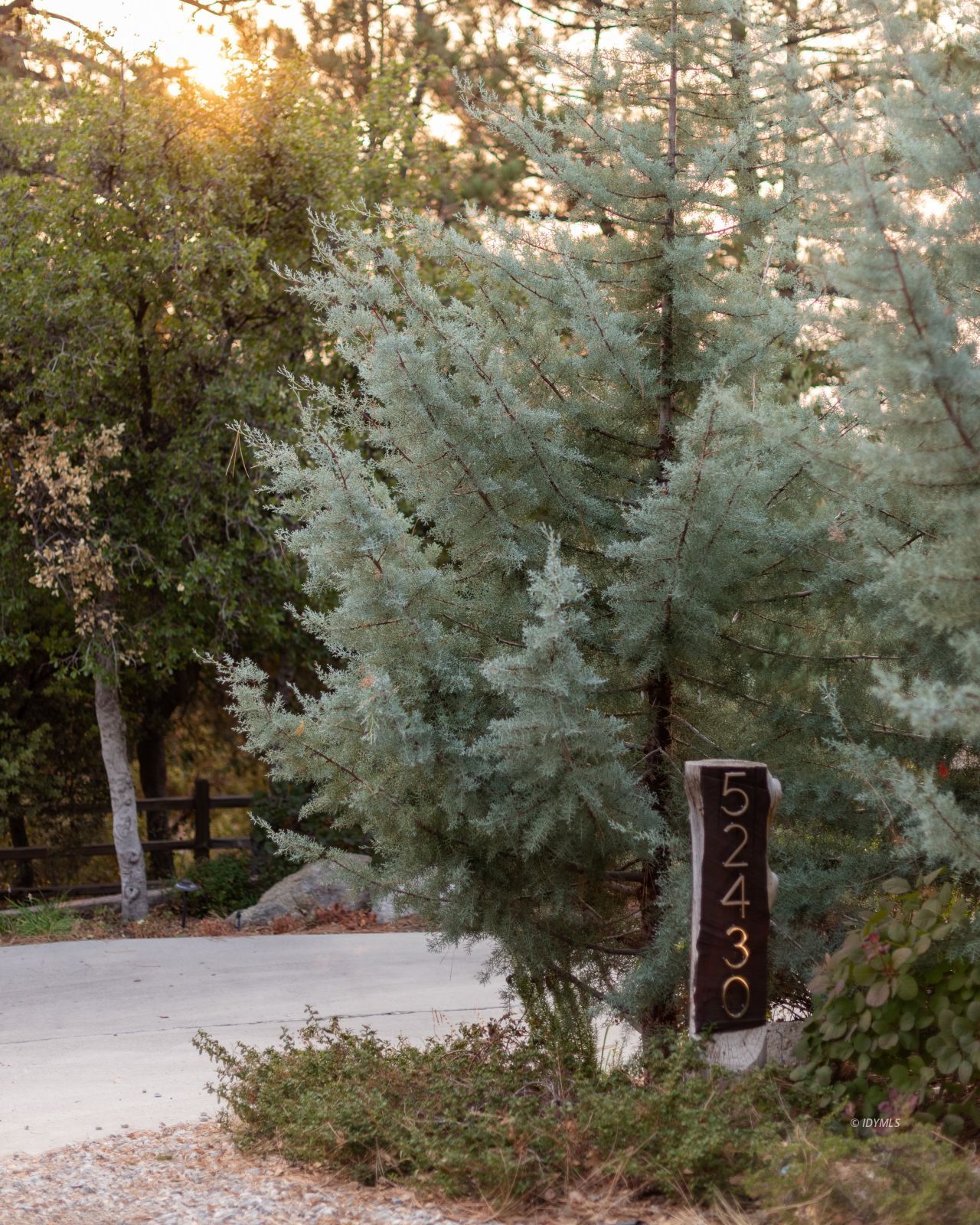 52430 Double View Drive Idyllwild, CA 92549 - Photo 75 of 75 Untitled