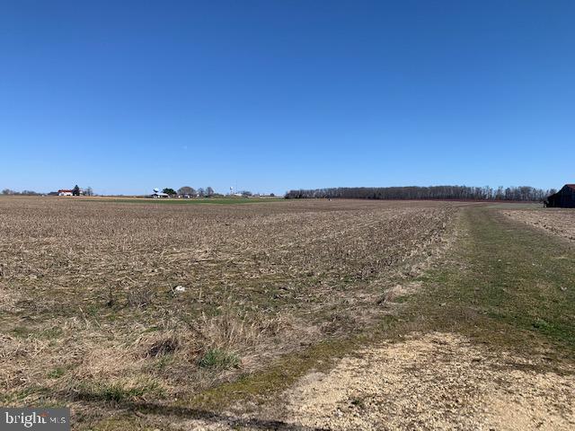 113 Barretts Run Road Bridgeton, NJ 08302 - Photo 5 of 15