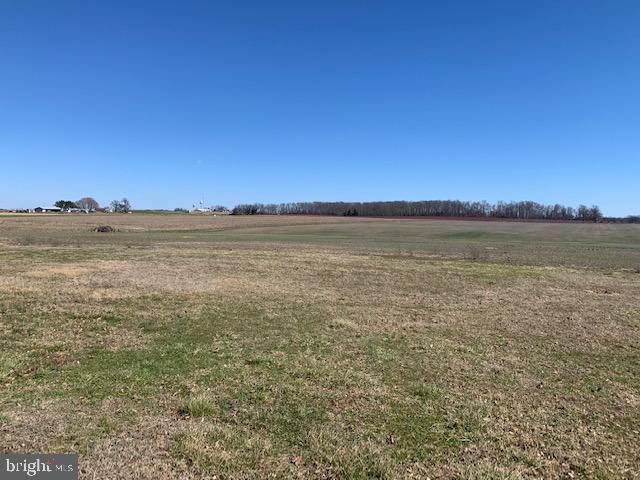 113 Barretts Run Road Bridgeton, NJ 08302 - Photo 6 of 15
