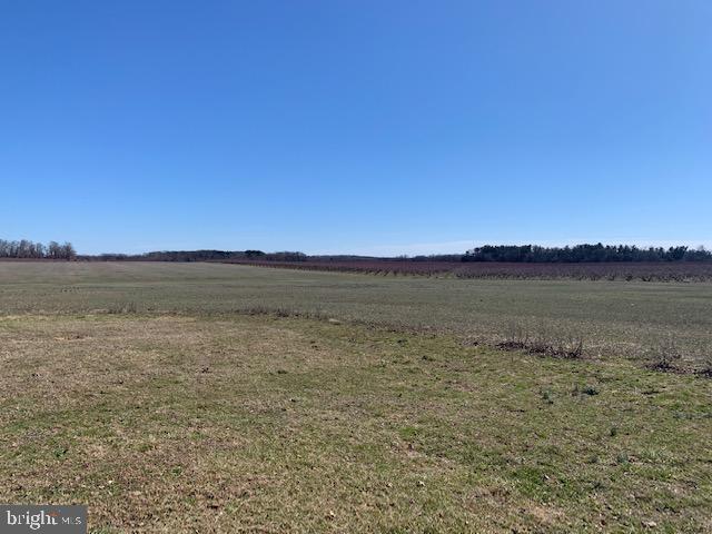 113 Barretts Run Road Bridgeton, NJ 08302 - Photo 7 of 15