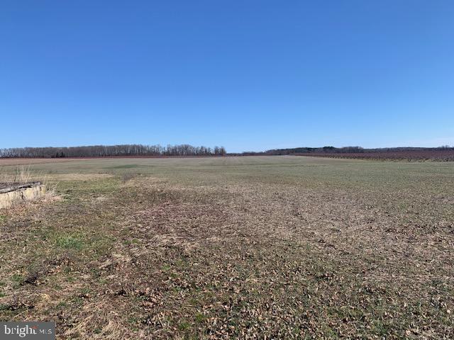 113 Barretts Run Road Bridgeton, NJ 08302 - Photo 10 of 15