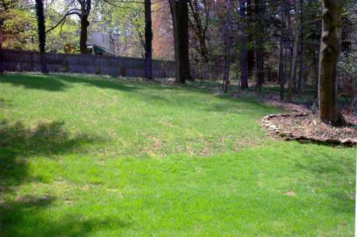 3210 Fox Run Road Allison Park, PA 15101 - Photo 7 of 8 Yard/Garden.