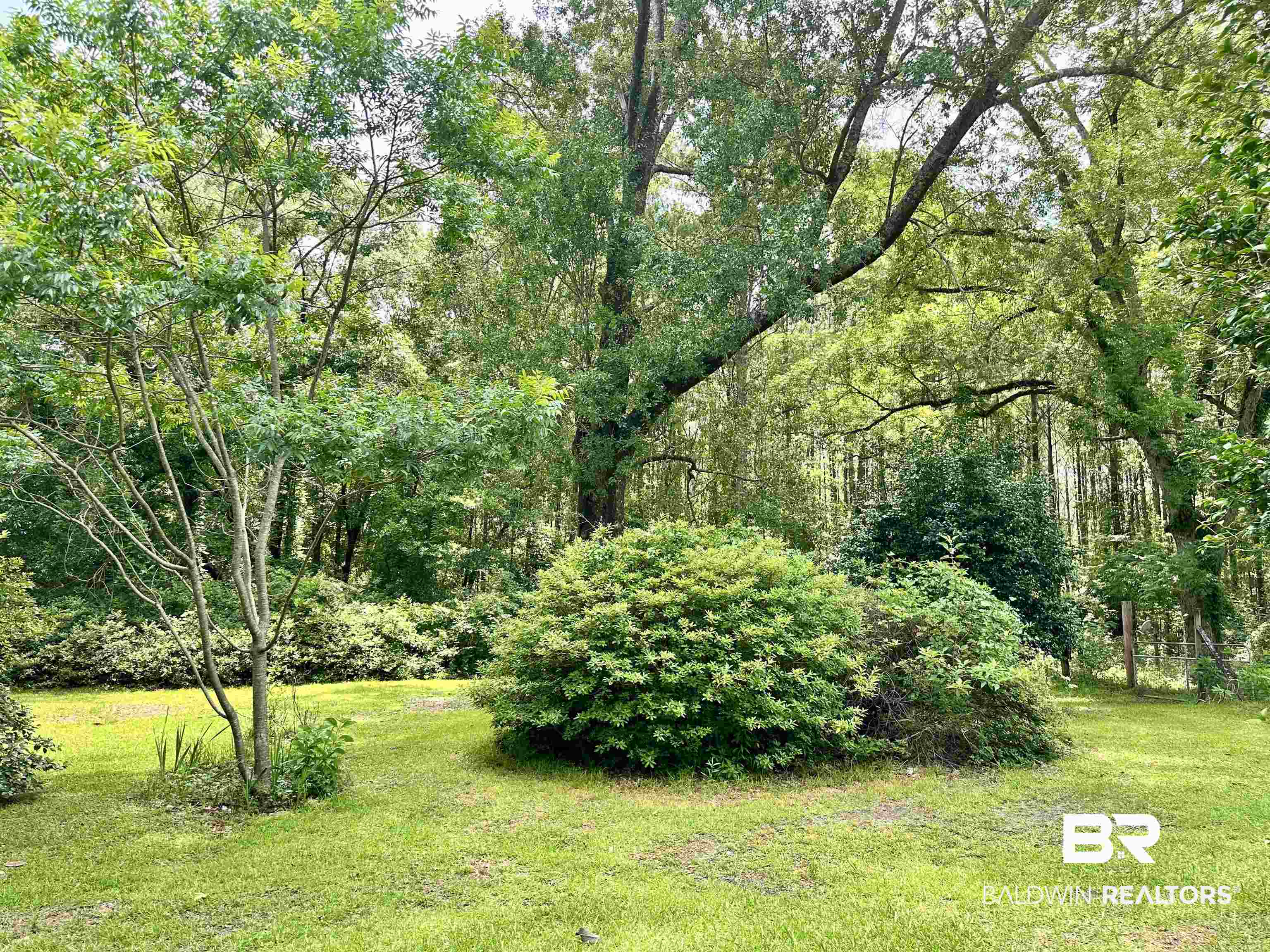 11281 Highway 29 Brewton, AL 36426 - Photo 4 of 12