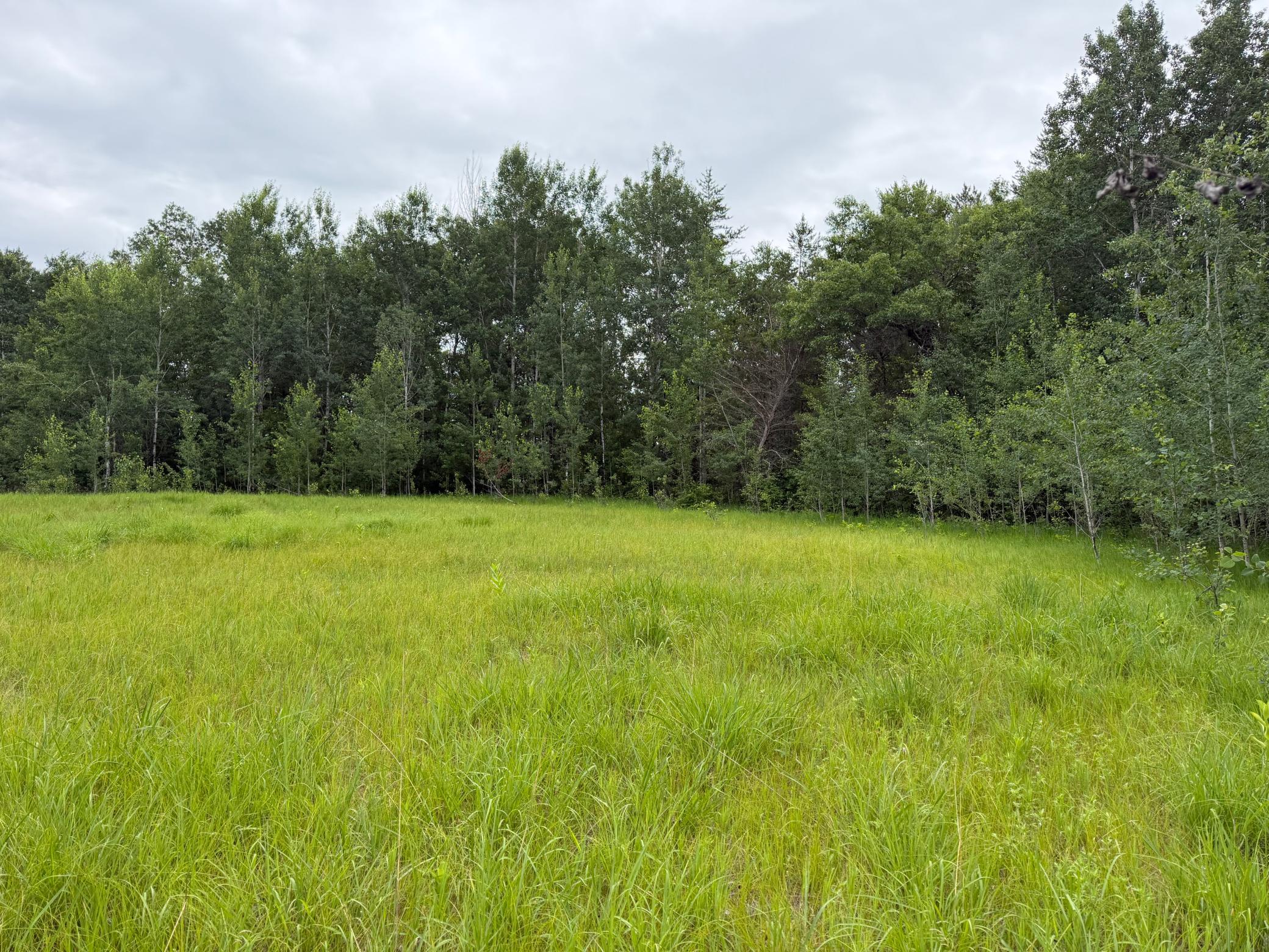 Tbd 350th Street Sebeka, MN 56477 - Photo 65 of 100