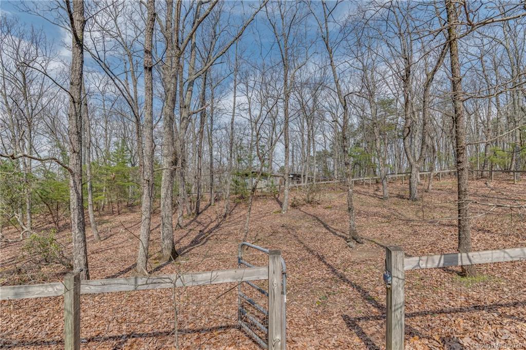 83 Luther Durham Road Tryon, NC 28782 - Photo 5 of 43 a backyard of a house with lots of green space