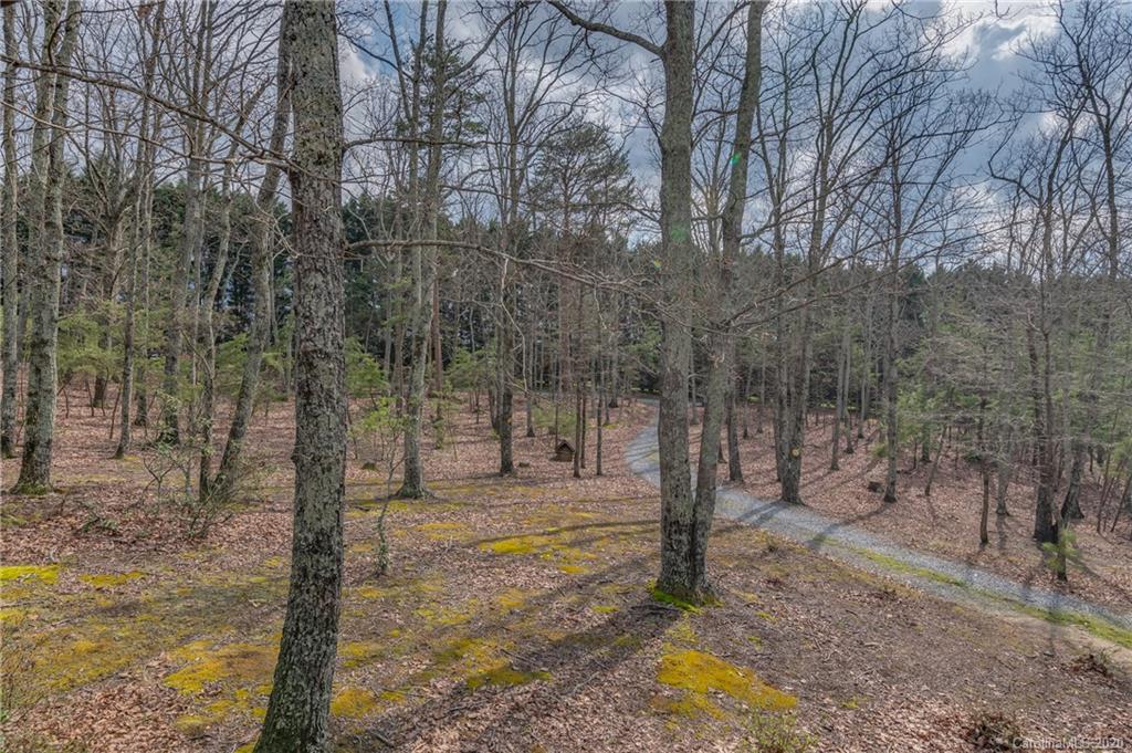 83 Luther Durham Road Tryon, NC 28782 - Photo 43 of 43 a view of a yard with trees