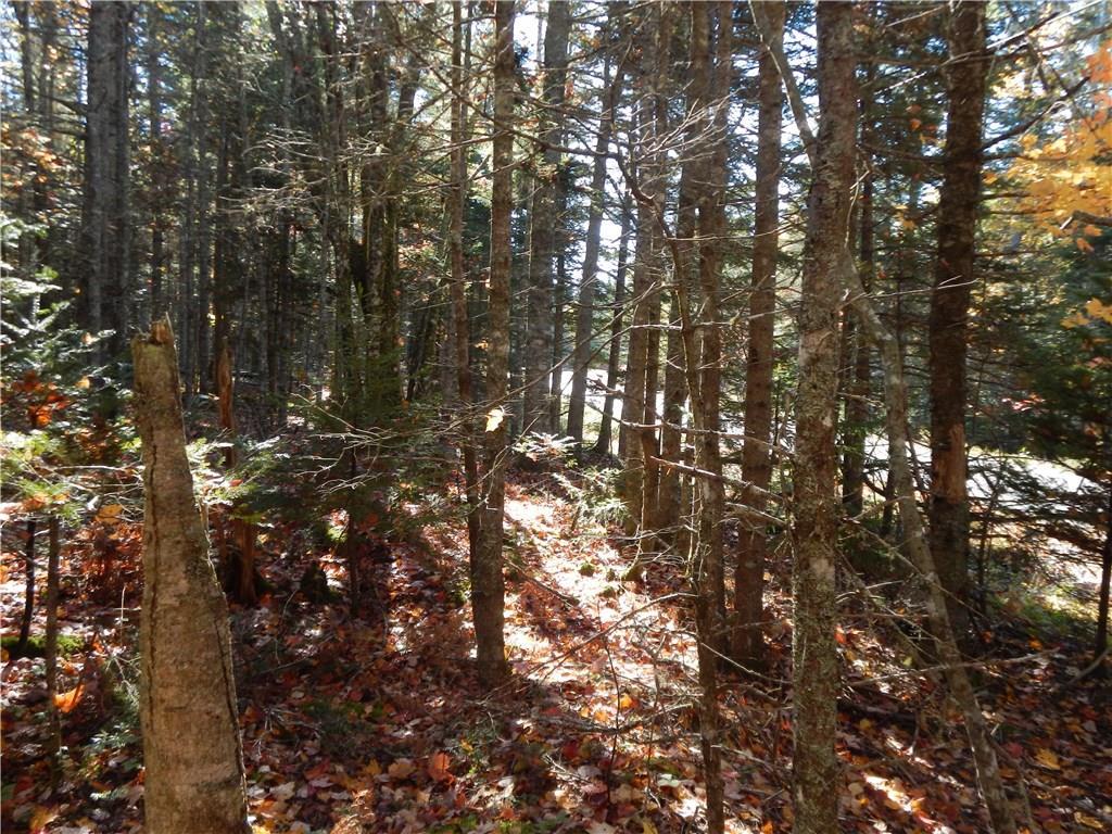 Lot 38 Grand Marsh Bay Road Corea, ME 04624 - Photo 4 of 17 Photo