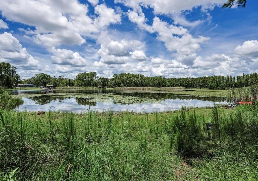 4635 Cobb Road Land O Lakes, FL 34638 - Photo 3 of 6 a view of a lake with a big yard