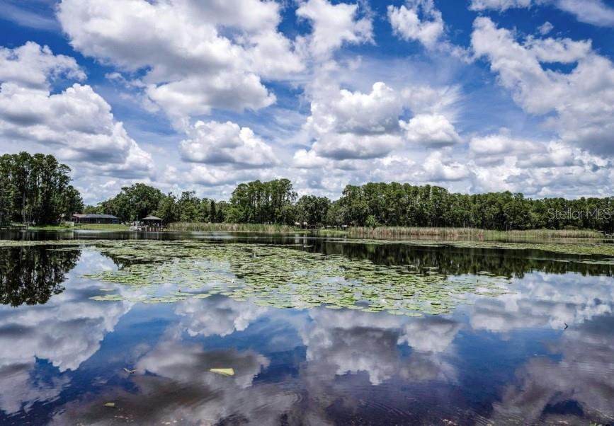 4635 Cobb Road Land O Lakes, FL 34638 - Photo 4 of 6 a view of lake with green space