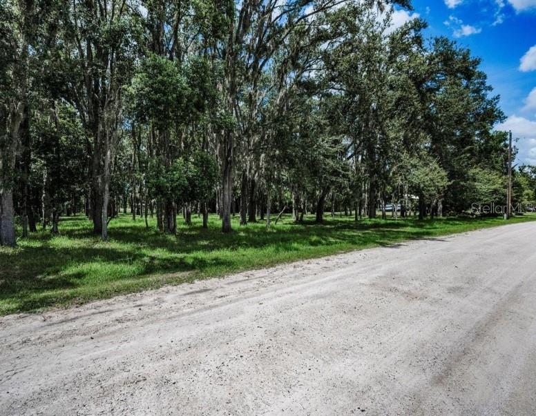 4635 Cobb Road Land O Lakes, FL 34638 - Photo 6 of 6 a view of a park with tree s