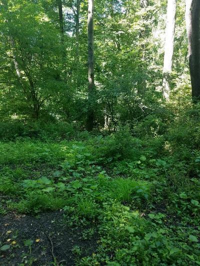 0 Orme Road Ligonier, PA 15658 - Photo 2 of 2 a view of a lush green forest