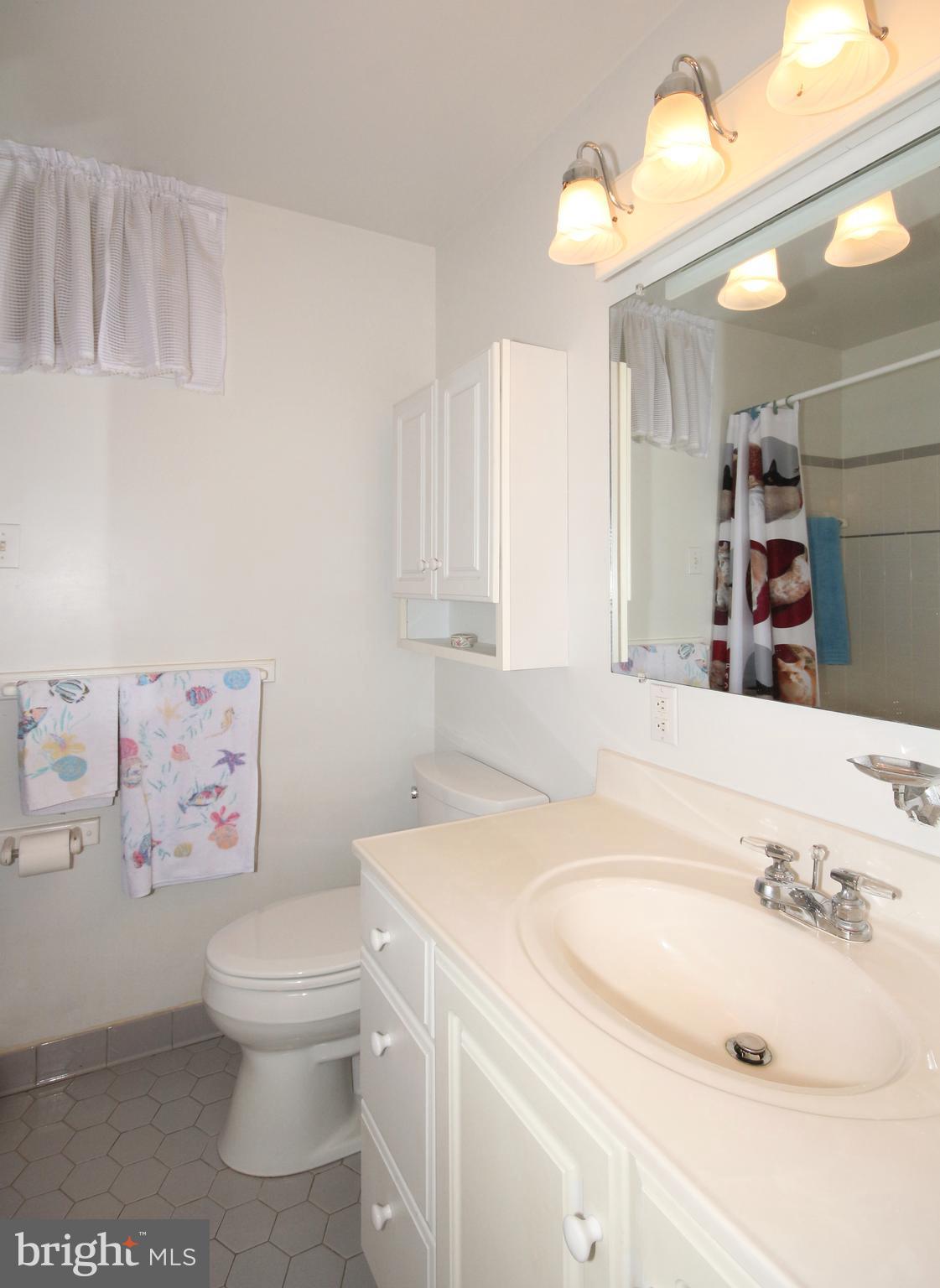 4208 Collier Road Fairfax, VA 22030 - Photo 22 of 30 Bath