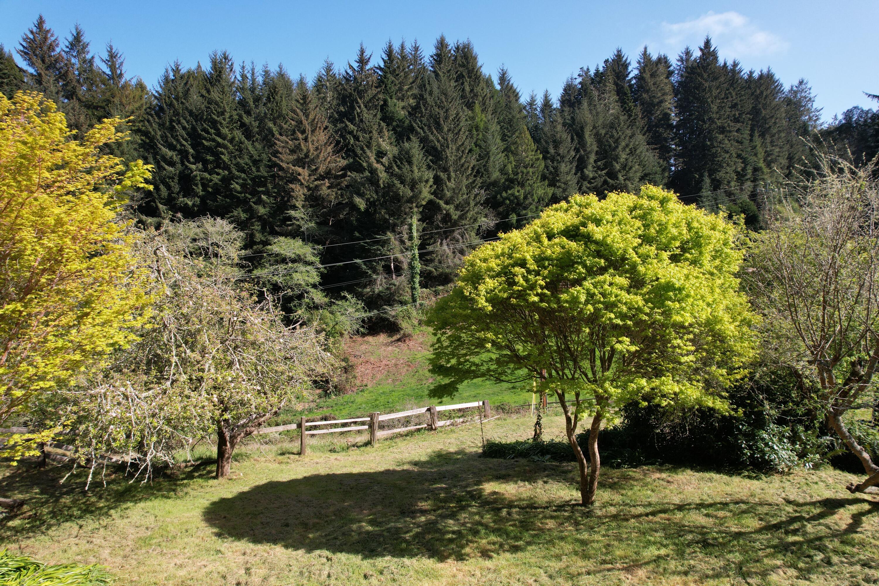 7569 Berta Road Eureka, CA 95503 - Photo 59 of 137 Photoleap