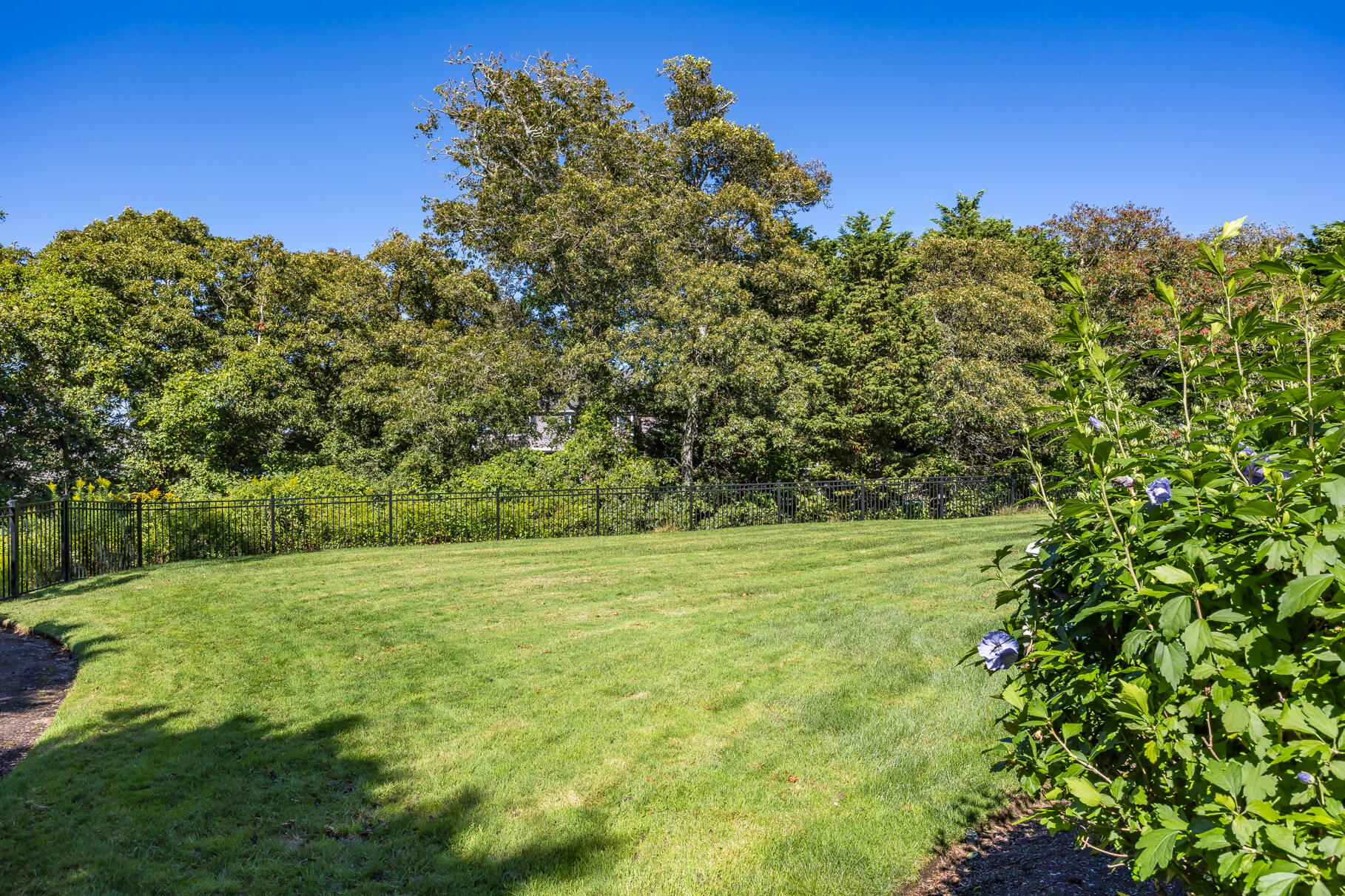 335 Stage Island Road Chatham, MA 02633 - Photo 13 of 71 9L4A5541
