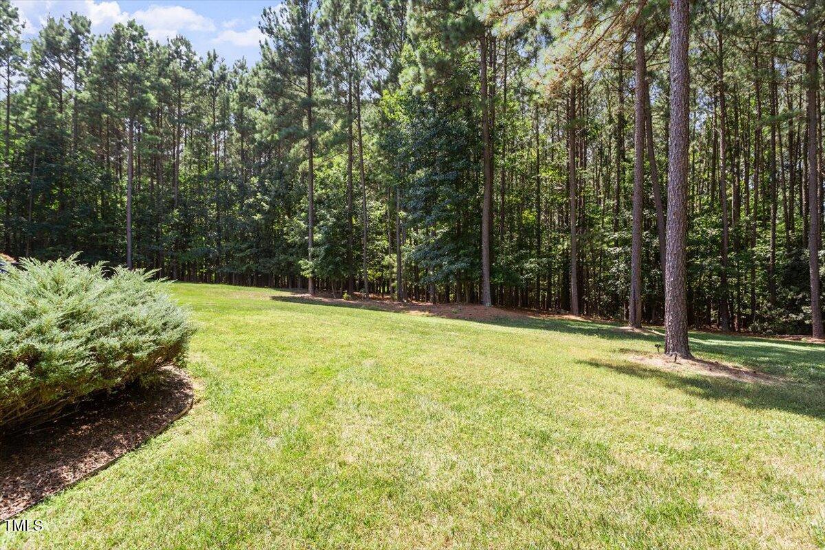 124 Dartmoor Lane Raleigh, NC 27614 - Photo 59 of 64 Backyard