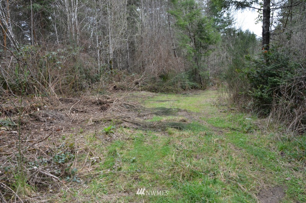 0 Cornwall Road Northwest Lakebay, WA 98349 - Photo 2 of 6