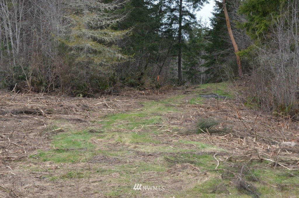 0 Cornwall Road Northwest Lakebay, WA 98349 - Photo 5 of 6