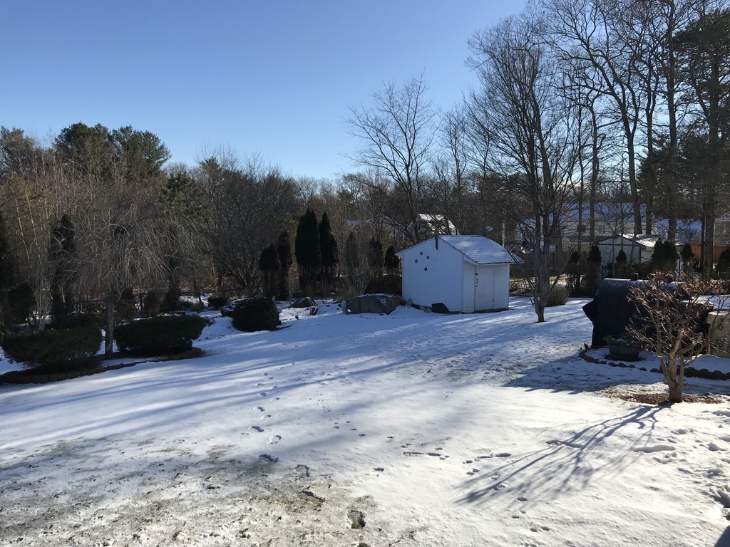 192 Morrison Road Taunton, MA 02718 - Photo 20 of 21 a view of a backyard with large trees