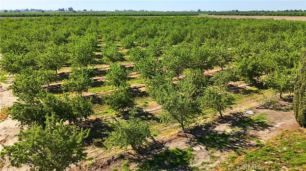 $3,500,000 | 8499 Monte Cristo Avenue, Livingston, CA 95334