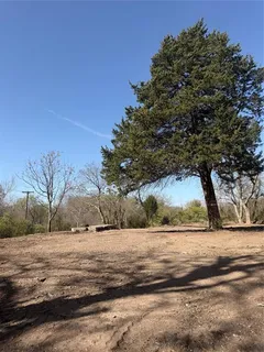 a view of dirt yard with a large tree