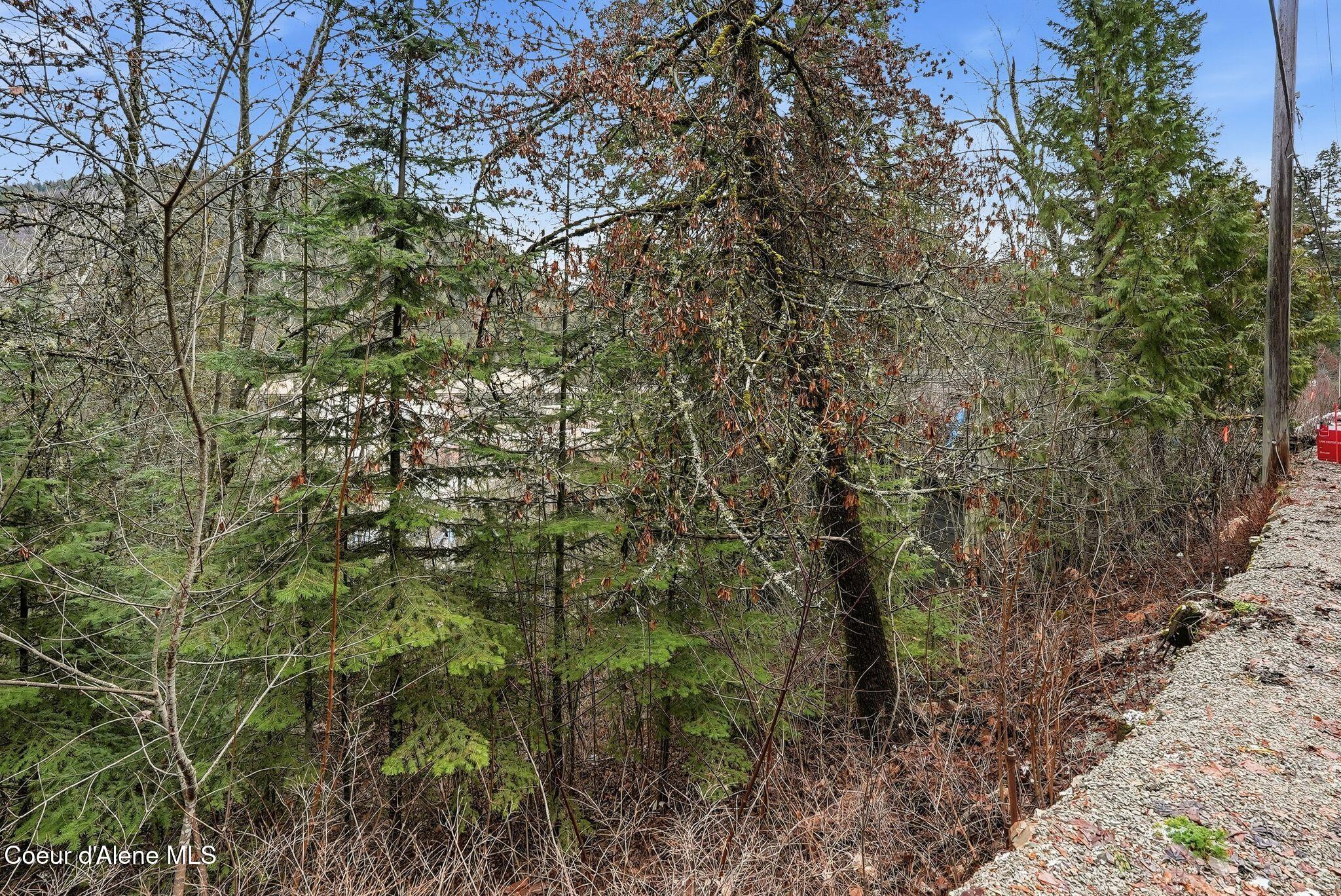 307 Elm Street Wallace, ID 83873 - Photo 11 of 26 10