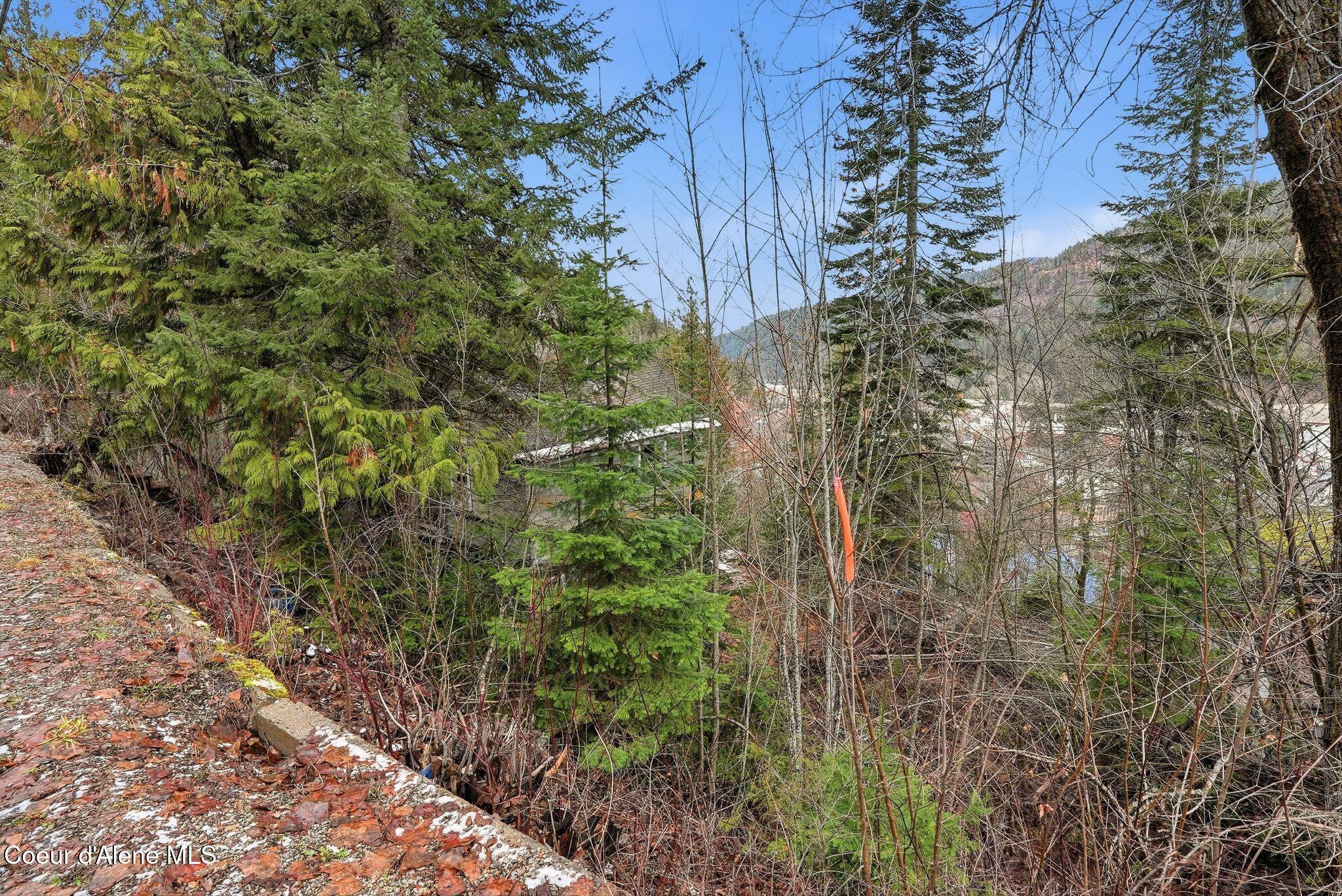 307 Elm Street Wallace, ID 83873 - Photo 10 of 26 9