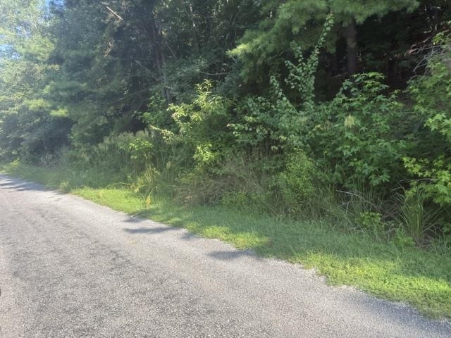 5 Carroll Hollow Road Waynesboro, TN 38485 - Photo 10 of 23