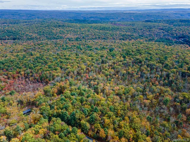 $39,000 | Taras Schevchenko (lot 24) Road, Glen Spey, NY 12737