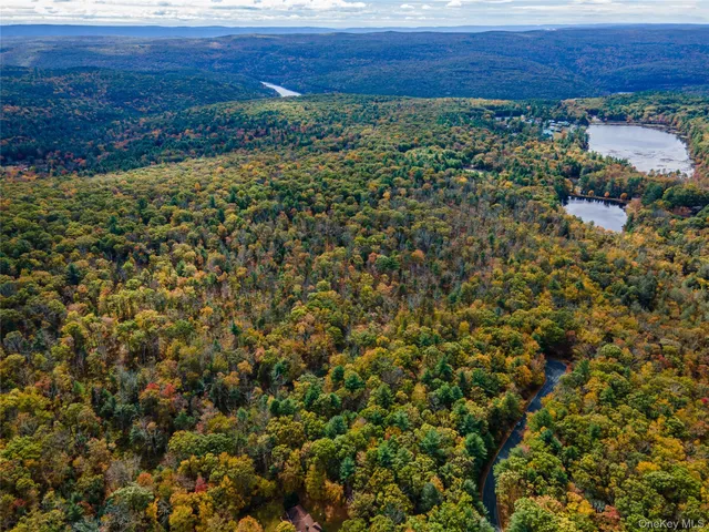 $39,000 | Taras Schevchenko (lot 24) Road, Glen Spey, NY 12737