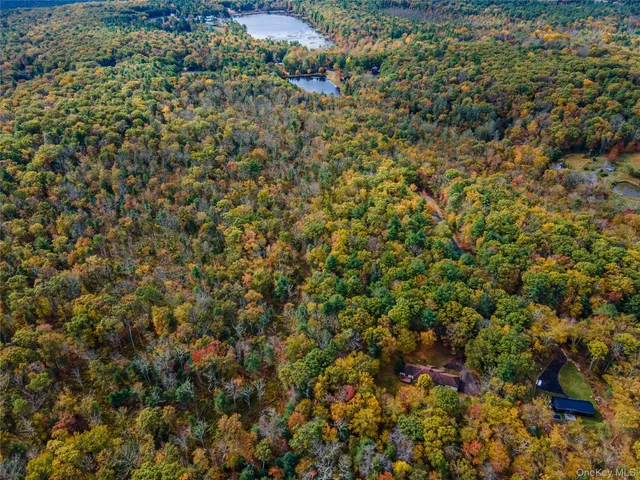 $39,000 | Taras Schevchenko (lot 24) Road, Glen Spey, NY 12737