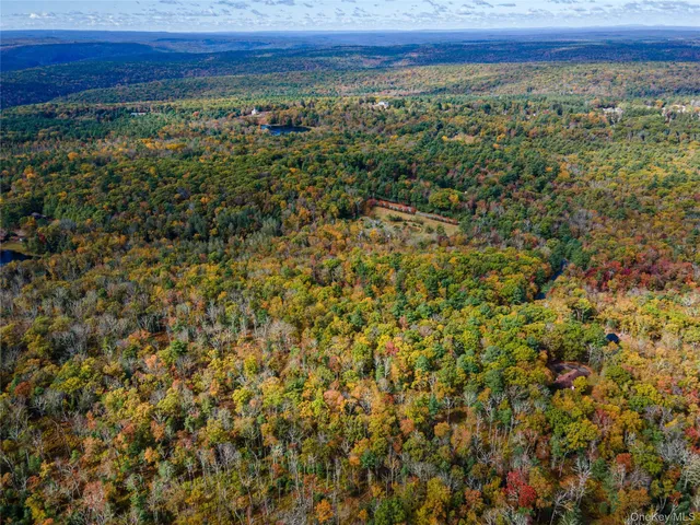 $39,000 | Taras Schevchenko (lot 24) Road, Glen Spey, NY 12737