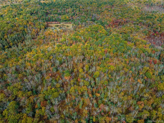 $39,000 | Taras Schevchenko (lot 24) Road, Glen Spey, NY 12737