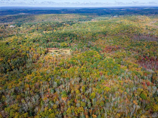 $39,000 | Taras Schevchenko (lot 24) Road, Glen Spey, NY 12737