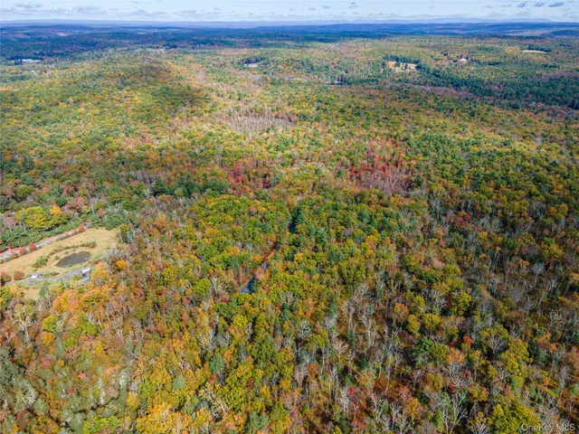 $39,000 | Taras Schevchenko (lot 24) Road, Glen Spey, NY 12737