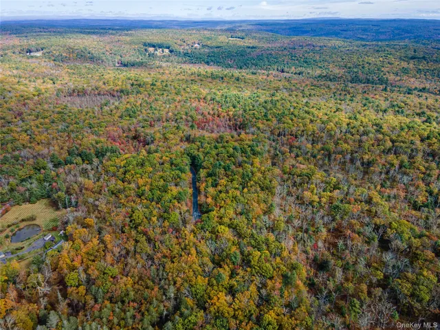 $39,000 | Taras Schevchenko (lot 24) Road, Glen Spey, NY 12737