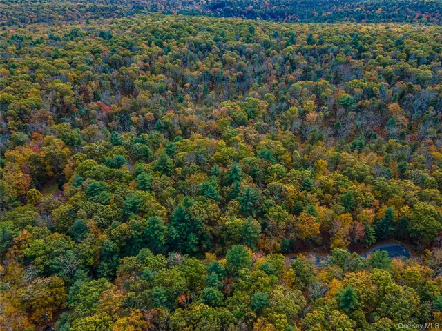 $39,000 | Taras Schevchenko (lot 24) Road, Glen Spey, NY 12737