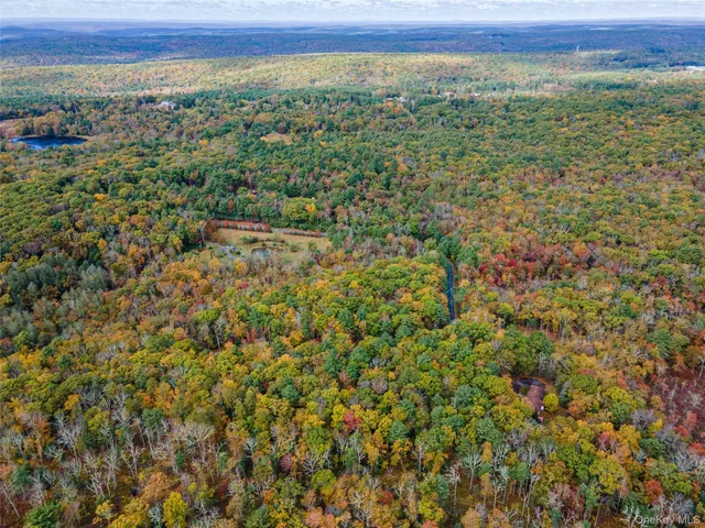 $39,000 | Taras Schevchenko (lot 24) Road, Glen Spey, NY 12737