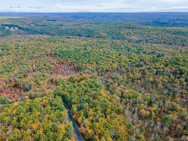$39,000 | Taras Schevchenko (lot 24) Road, Glen Spey, NY 12737