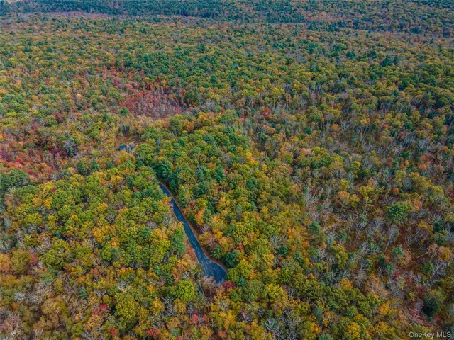 $39,000 | Taras Schevchenko (lot 24) Road, Glen Spey, NY 12737
