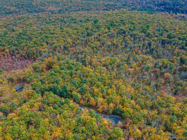 $39,000 | Taras Schevchenko (lot 24) Road, Glen Spey, NY 12737