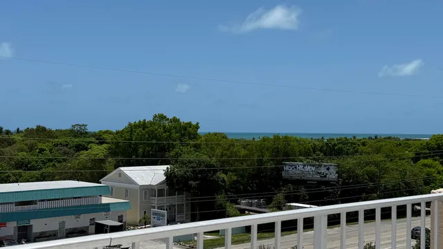 a view of a dry yard with trees and a tree in the background