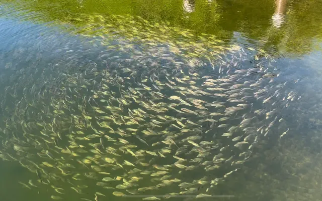 an ocean view with outdoor space