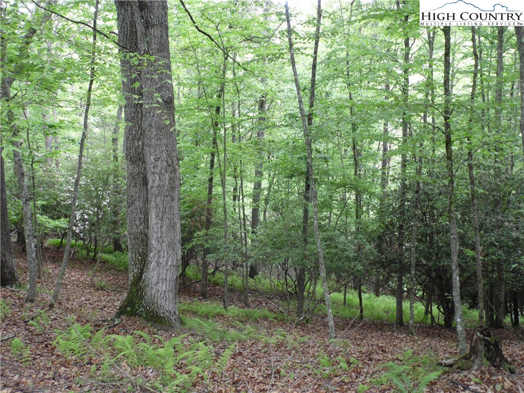 Deer Valley Road Piney Creek, NC 28663 - Photo 3 of 10