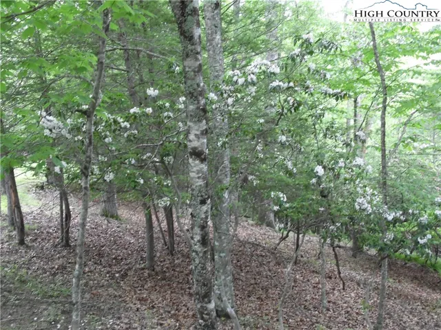 $18,500 | Deer Valley Road, Piney Creek, NC 28663